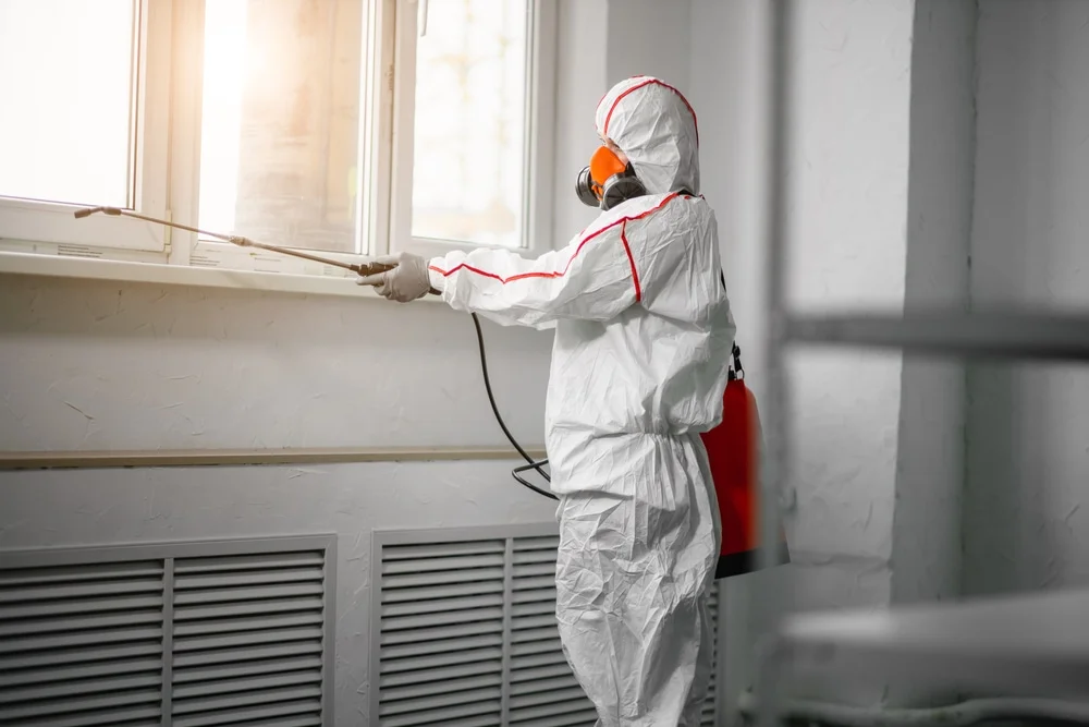 Professional mold remediation services in Mount Pleasant, SC